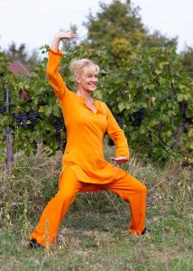 milz magen qigong